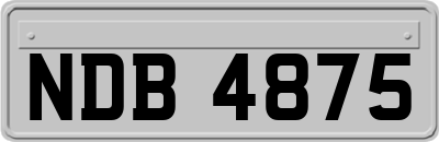 NDB4875