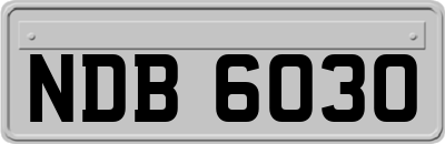 NDB6030