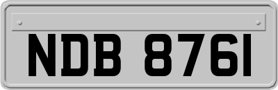 NDB8761