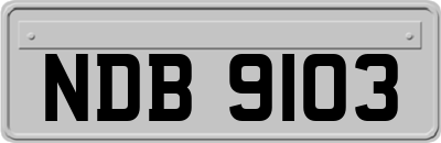 NDB9103