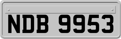 NDB9953