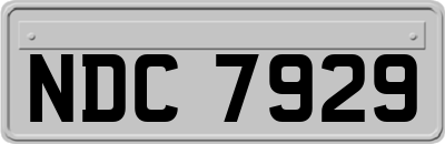 NDC7929