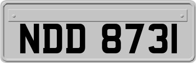 NDD8731