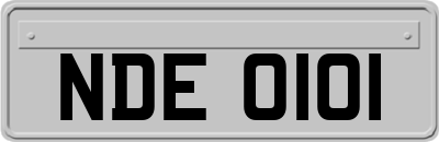 NDE0101