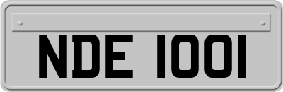 NDE1001