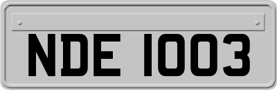 NDE1003