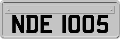 NDE1005