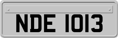 NDE1013