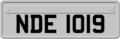 NDE1019