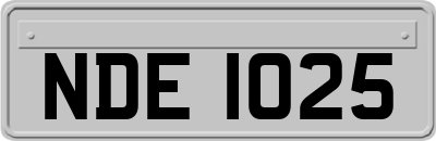 NDE1025