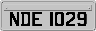 NDE1029