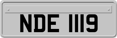 NDE1119