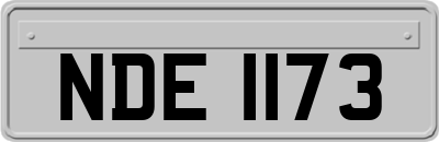 NDE1173