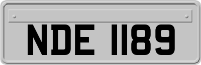 NDE1189