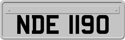 NDE1190