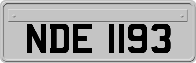 NDE1193