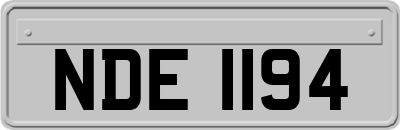 NDE1194