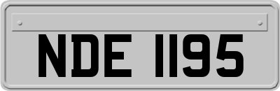 NDE1195