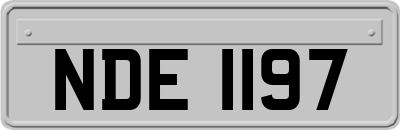 NDE1197
