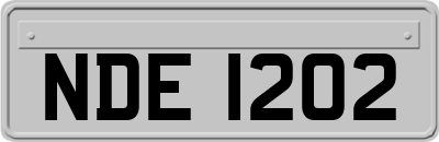 NDE1202