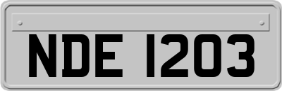 NDE1203