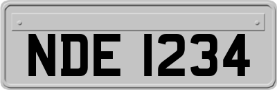 NDE1234