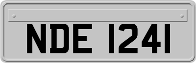 NDE1241