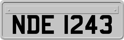 NDE1243