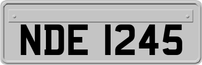 NDE1245