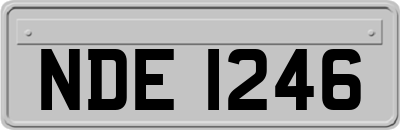 NDE1246