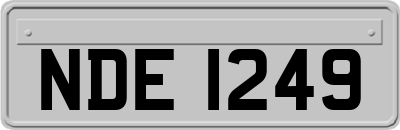 NDE1249