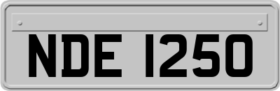 NDE1250
