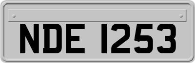 NDE1253