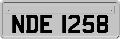 NDE1258