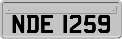 NDE1259