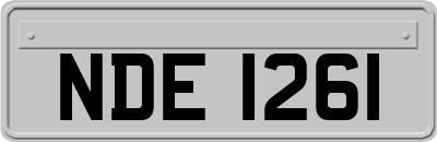 NDE1261