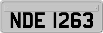 NDE1263