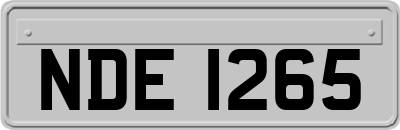 NDE1265