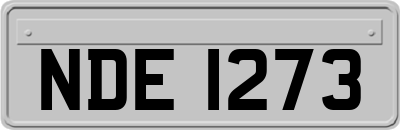 NDE1273