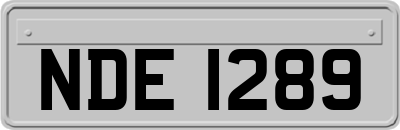 NDE1289