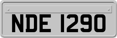 NDE1290