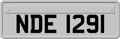 NDE1291