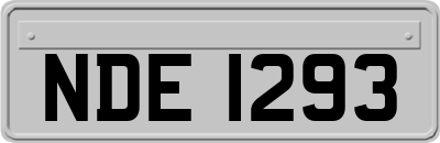 NDE1293