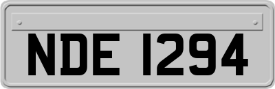 NDE1294