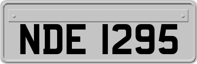 NDE1295