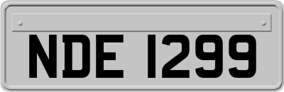 NDE1299