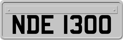 NDE1300