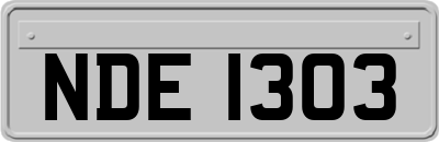 NDE1303