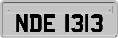 NDE1313