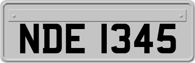 NDE1345